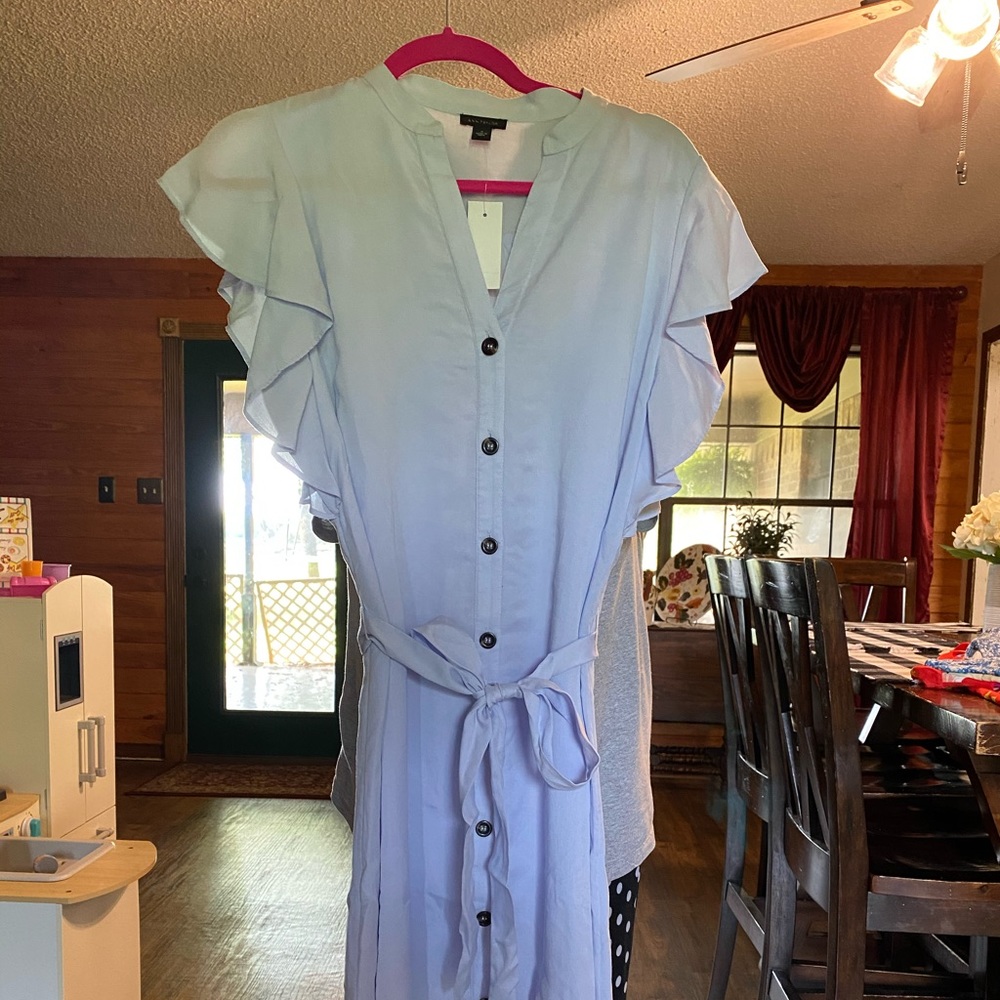 NWT Ann Taylor midi length flutter sleeve dress